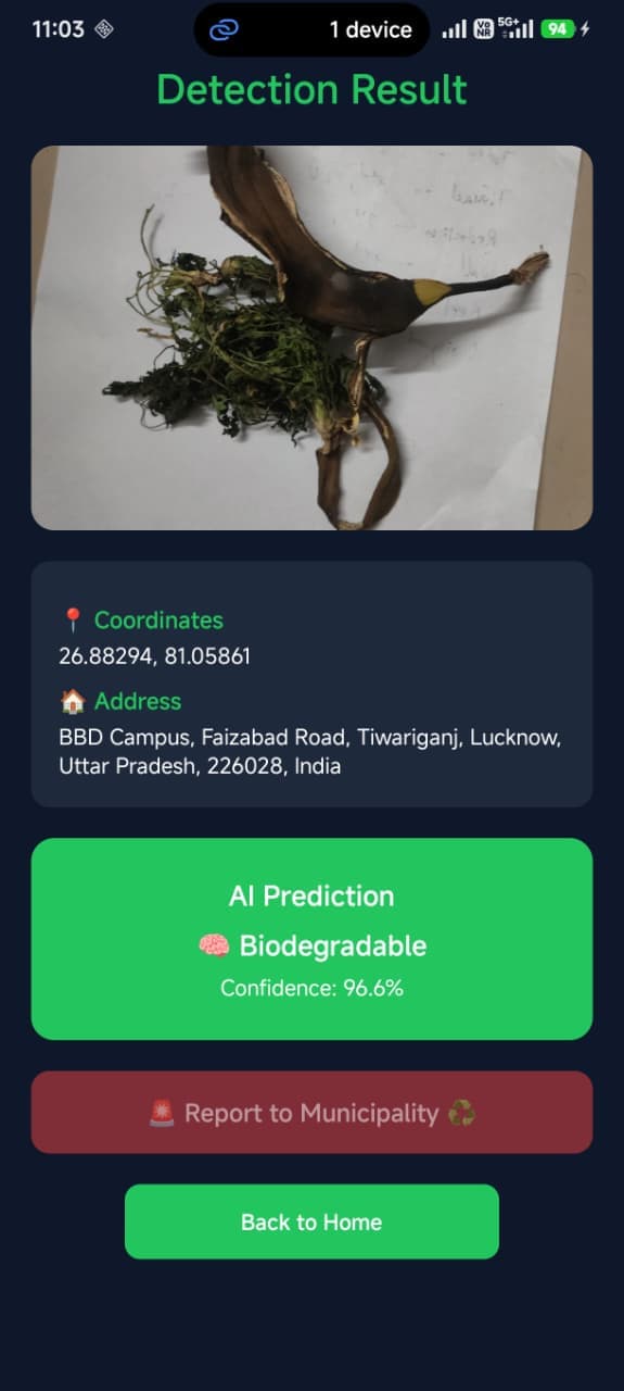 Biodegradable Prediction